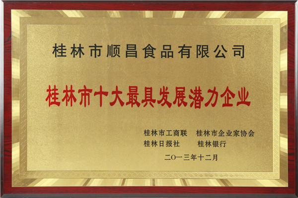 十大最具發(fā)展?jié)摿ζ髽I(yè)獎牌